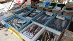 DSC02143.jpg