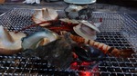 DSC02200.jpg
