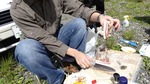 DSC02379.jpg