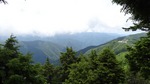 DSC02408.jpg