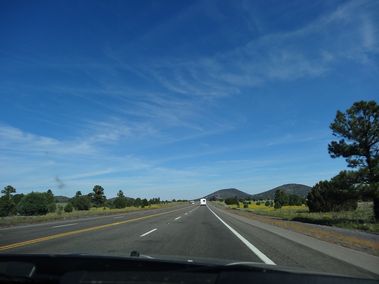 DSC00537.jpg